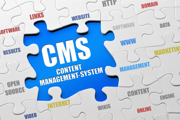 cms puzzle pieces
