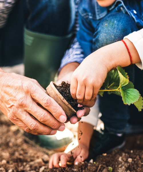 older person helping young person plant
